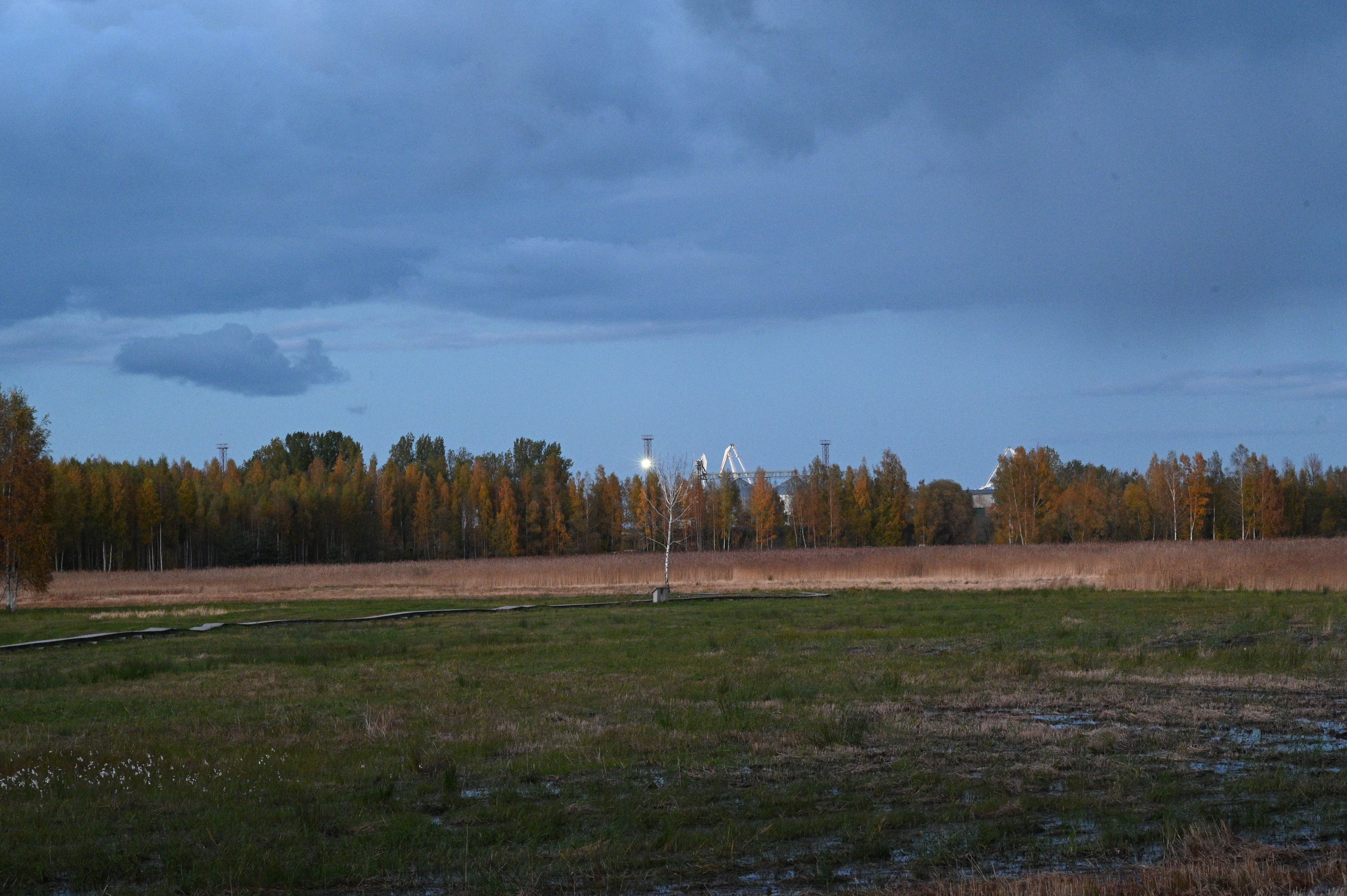 2025/10/18 - walk/DSC_0608.JPG